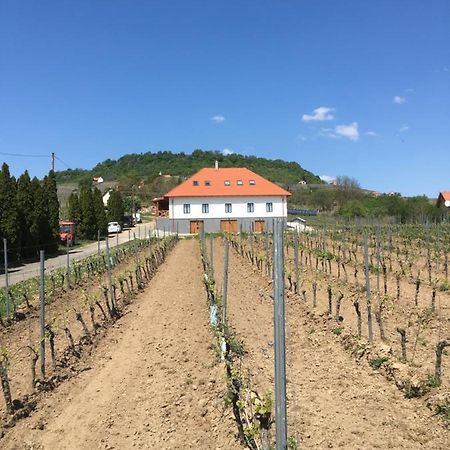 Somlo Kolonics Kuria Hotel Somlovasarhely Exterior photo